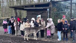 4d – Die Waldexperten